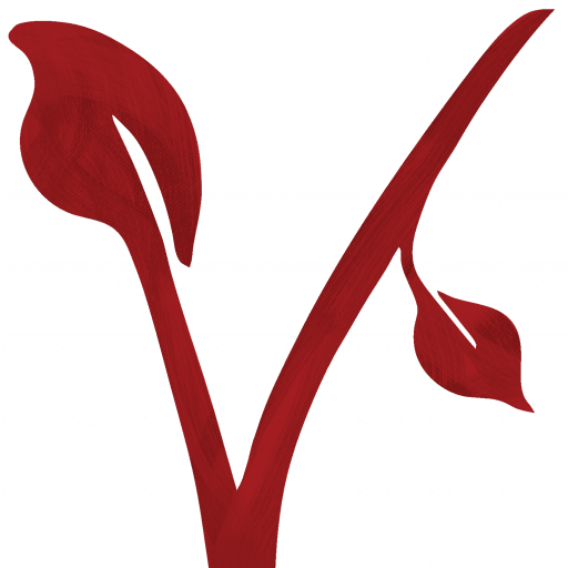 vegane Ernährung & IT