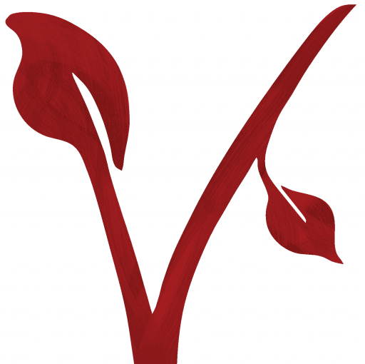 Kerstin Roth | Vegane Ernährung • Digitale Kompetenz